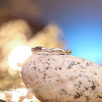 Liquidy ring - Doodle